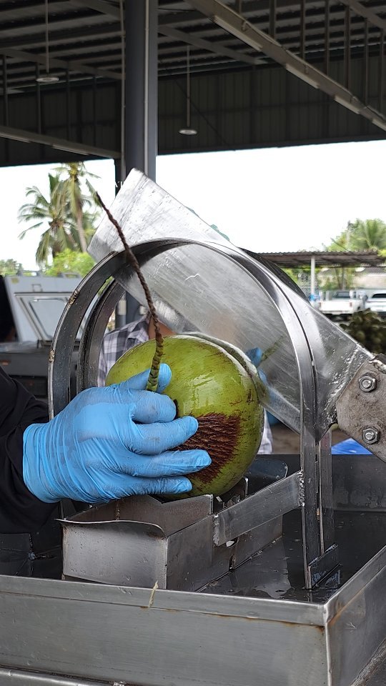 ybeattv_shorts 게시물 이미지: Thailand's Convenient Coconut Cutting Machine!!!