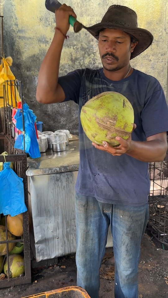 ybeattv_shorts 게시물 이미지: Malaysia's most dangerous looking coconut...