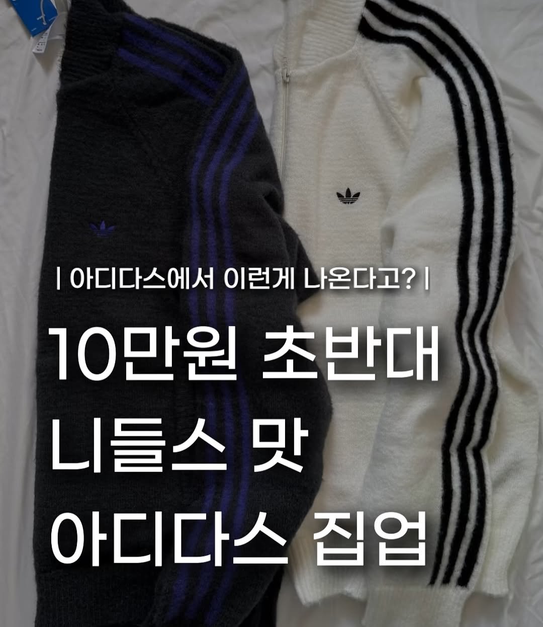Photo by 장윤빈 | 언박싱•🍯정보 on November 02, 2025. May be an image of top and text that says 'I 아디다스에서 이런게 나온다고?| 10만원 초반대 니들스밋 맛 아디다스 집업'.
