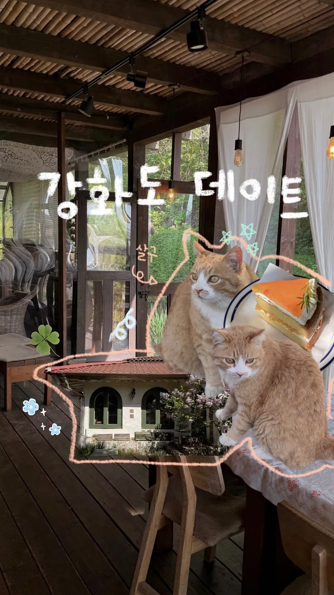 ye._.bbiiii 게시물 이미지: 귀여운 마당냥이 있는 유럽 시골 감성 서울 근교 카페🐈

귀여운 마당냥 살구가 살고...