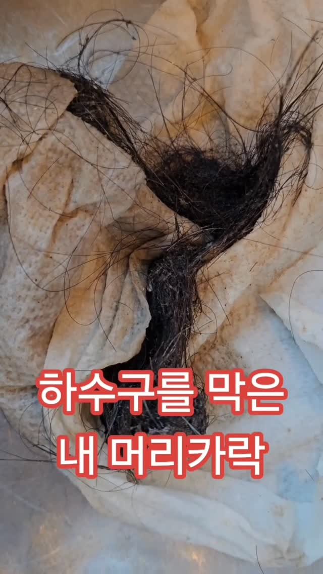 yeahfur 게시물 이미지: .
머리카락 때문에 하수구 막혀서
직접 뚫어보신 분들 계신가요?
네… 그게 바로...