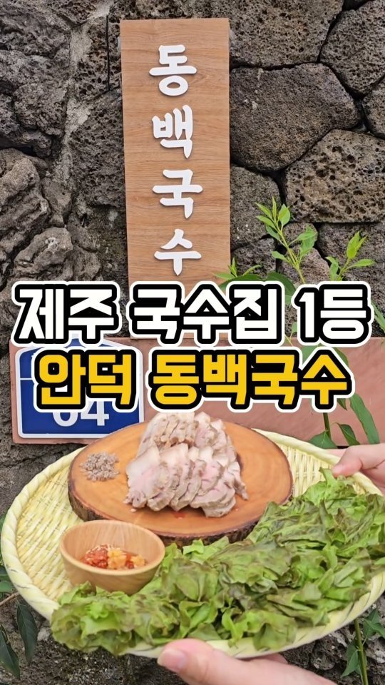 yeji0719 게시물 이미지: #동백국수

인생 국수집 드디어 찾았습니다..🌟
생긴지 오래된 곳은 아닌것...