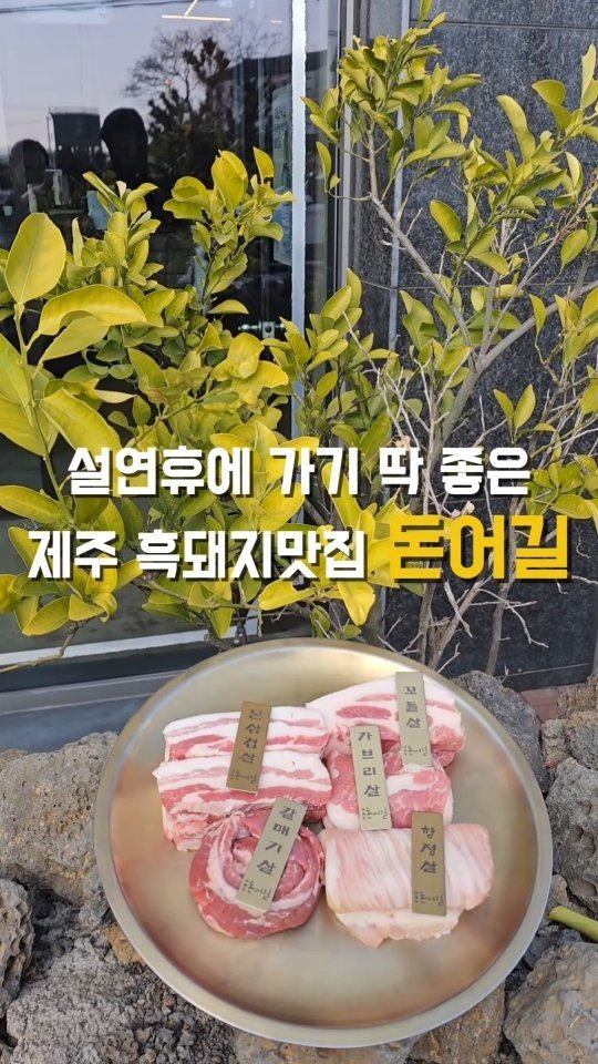 yeji0719 게시물 이미지: #돈어길

명절에 제주에 계신분들 많으시죠오옹?
그저 부러울 따름입니다ㅠㅠㅠ🤍 저도...