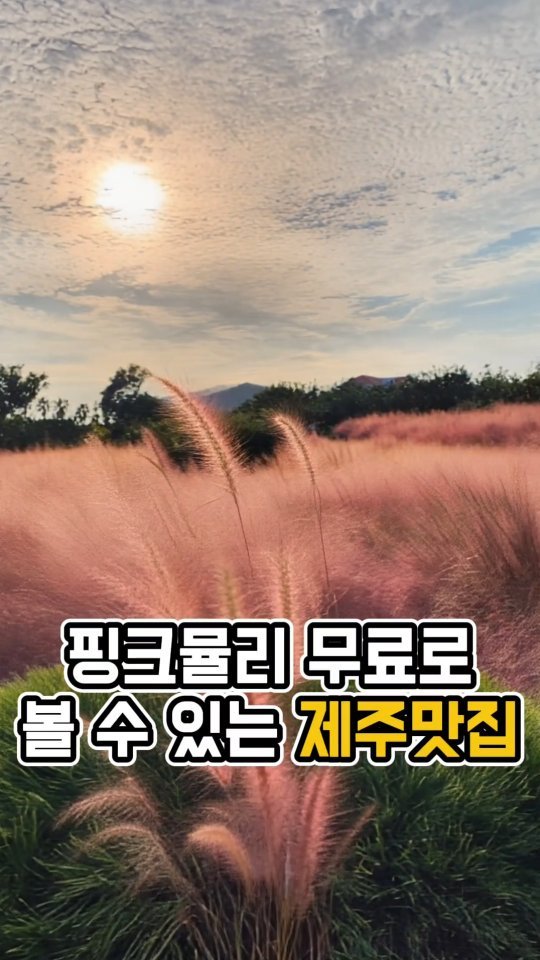 yeji0719 게시물 이미지: #중문고등어쌈밥

제주를 어느정도 가본 사람이라면...🌟
여길 모르시는 분은...