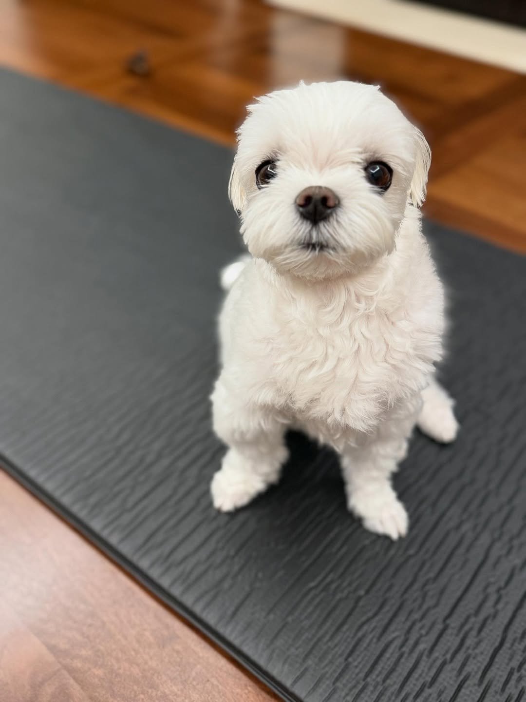 Photo by 🤭 on July 06, 2025.