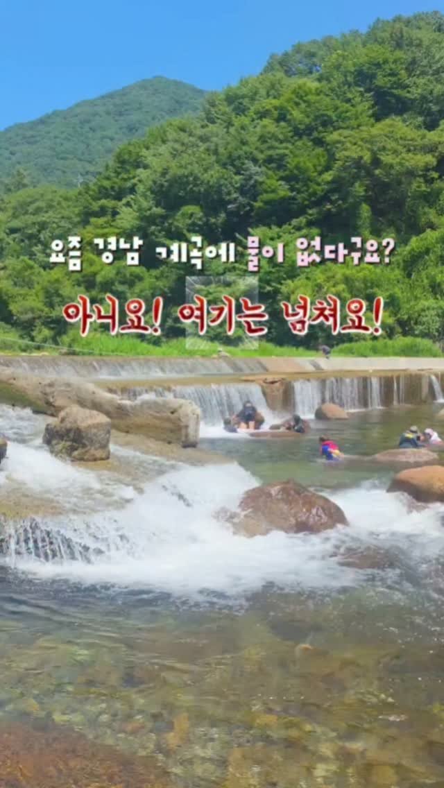 yelimmy_24 게시물 이미지: 요즘 경남 계곡에 물 없죠⁉️ 하동은 No✨️
📢평상도 5만원! 경남에서 제일...
