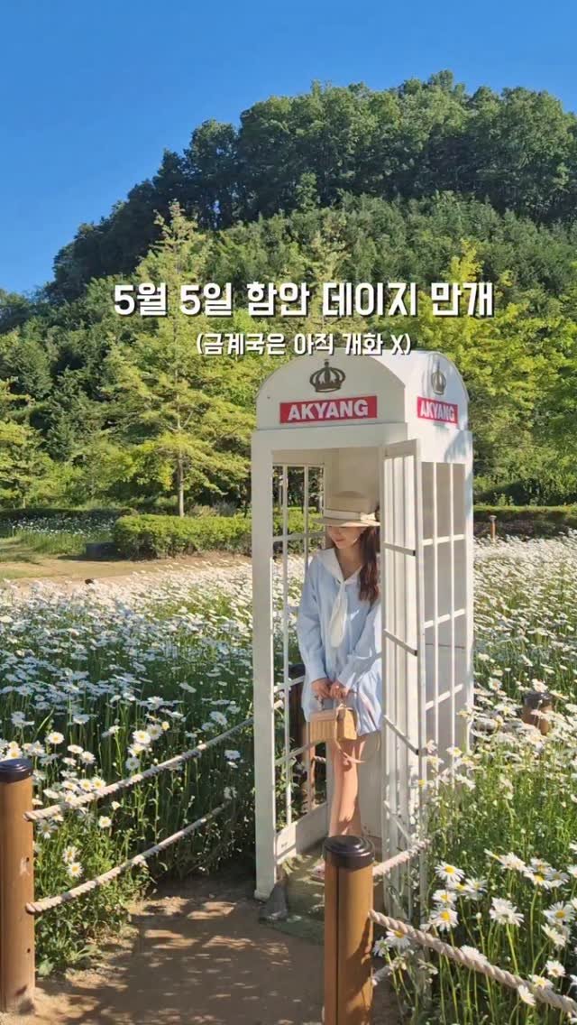 yelimmy_24 게시물 이미지: 실시간 5월 5일 함안 악양생태공원💚

샤스타데이지 명소로 유명한 악양생태공원
5월...