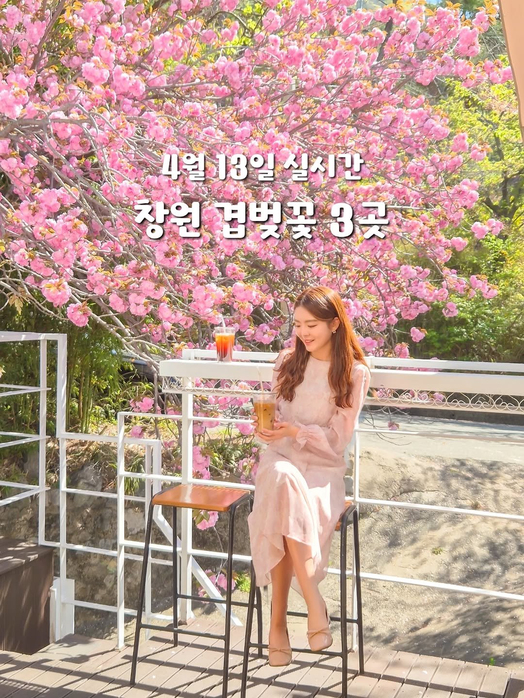 yelimmy_24 게시물 이미지: 4월 13일 실시간 진해 겹벚꽃 코스🌸
(카페부터 숨은 명소까지✨️)

4월 13일...
