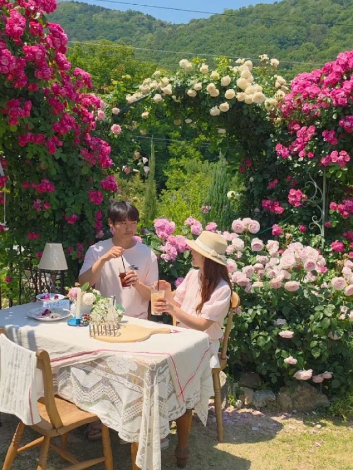 yelimmy_24 게시물 이미지: 실시간 장미가 제일 예쁜 경남 카페💗

여름에 수국으로 유명한 카페인데
지금은 온통...