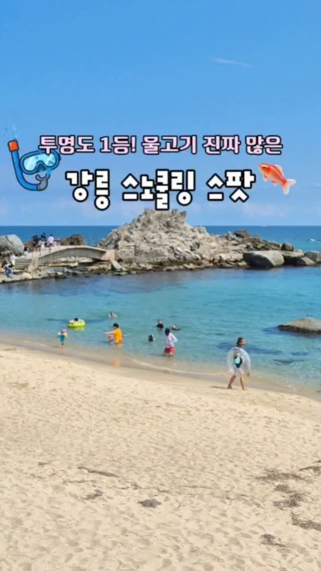 yelimmy_24 게시물 이미지: 강릉 스노쿨링 명소 1등💙

강릉에서 투명도 1등인 사천해변🏖
에메랄드빛 해변이 넘...