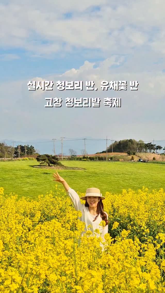 yelimmy_24 게시물 이미지: 실시간 유채꽃과 청보리 풍경을 한번에💛

지금 고창 학원농장에서 청보리 축제가...