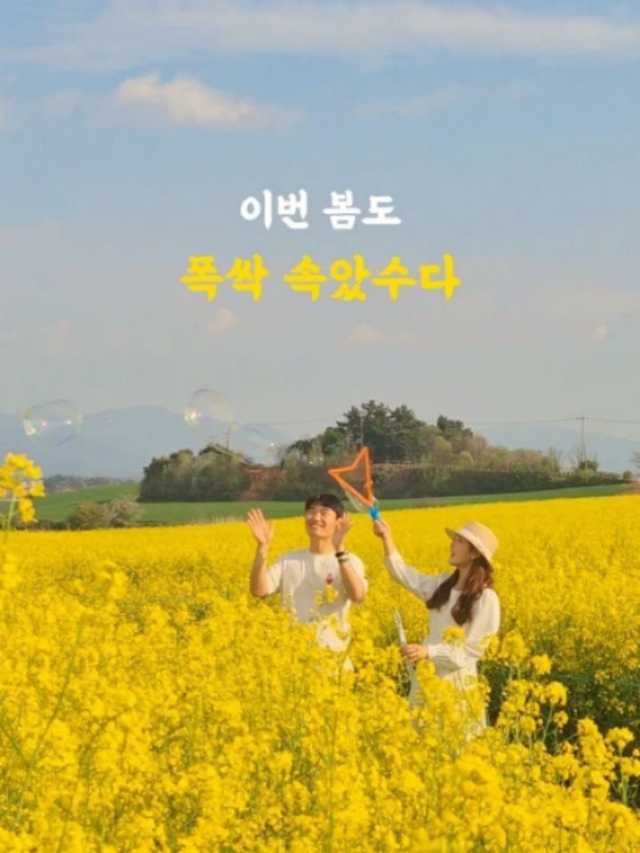 yelimmy_24 게시물 이미지: 폭싹속았수다 촬영지로 더 핫해진 고창 청보리밭 💚

윈도우 배경 실사판이라고도...