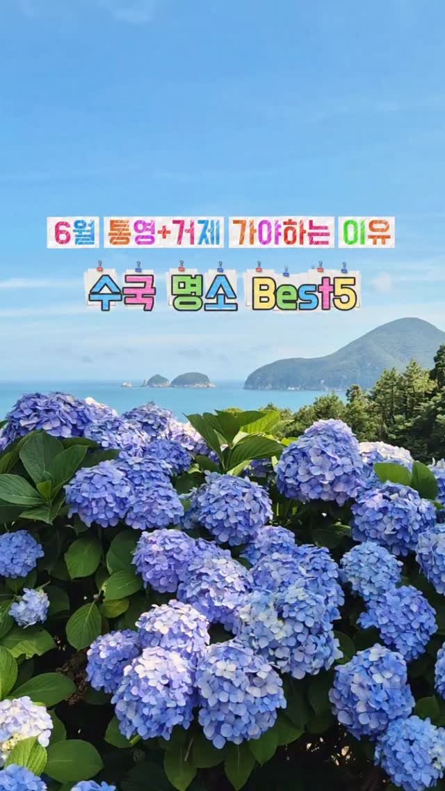 yelimmy_24 게시물 이미지: 6월 통영+거제 수국 명소 추천⭐️

제주도 다음으로 수국이 많은곳은 거제‼️
바로...
