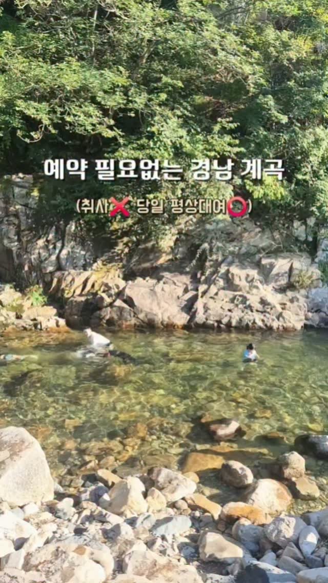 yelimmy_24 게시물 이미지: 예약 필요없는 밀양 얼음골 계곡✨️

이름처럼 진짜 차가운 얼음골 계곡
여기는...