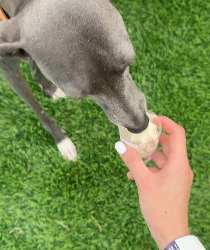 yen_sta 게시물 이미지: ROYHILLS
Pet Memorial Park
시간이 흘러도 보이지 않아도...