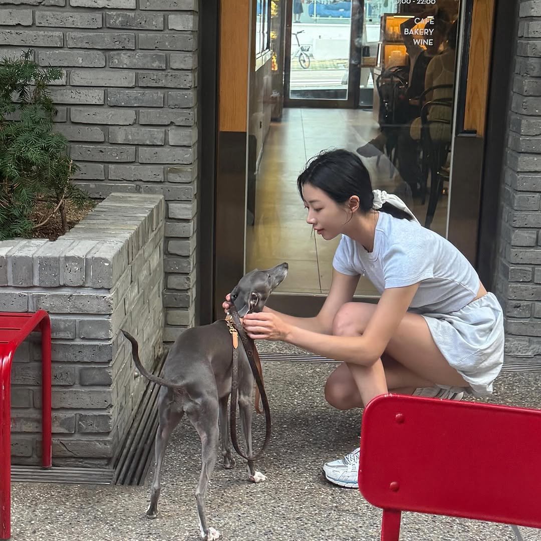 Photo by 김예은 on September 02, 2025. May be an image of 1 person, Bedlington terrier and text.