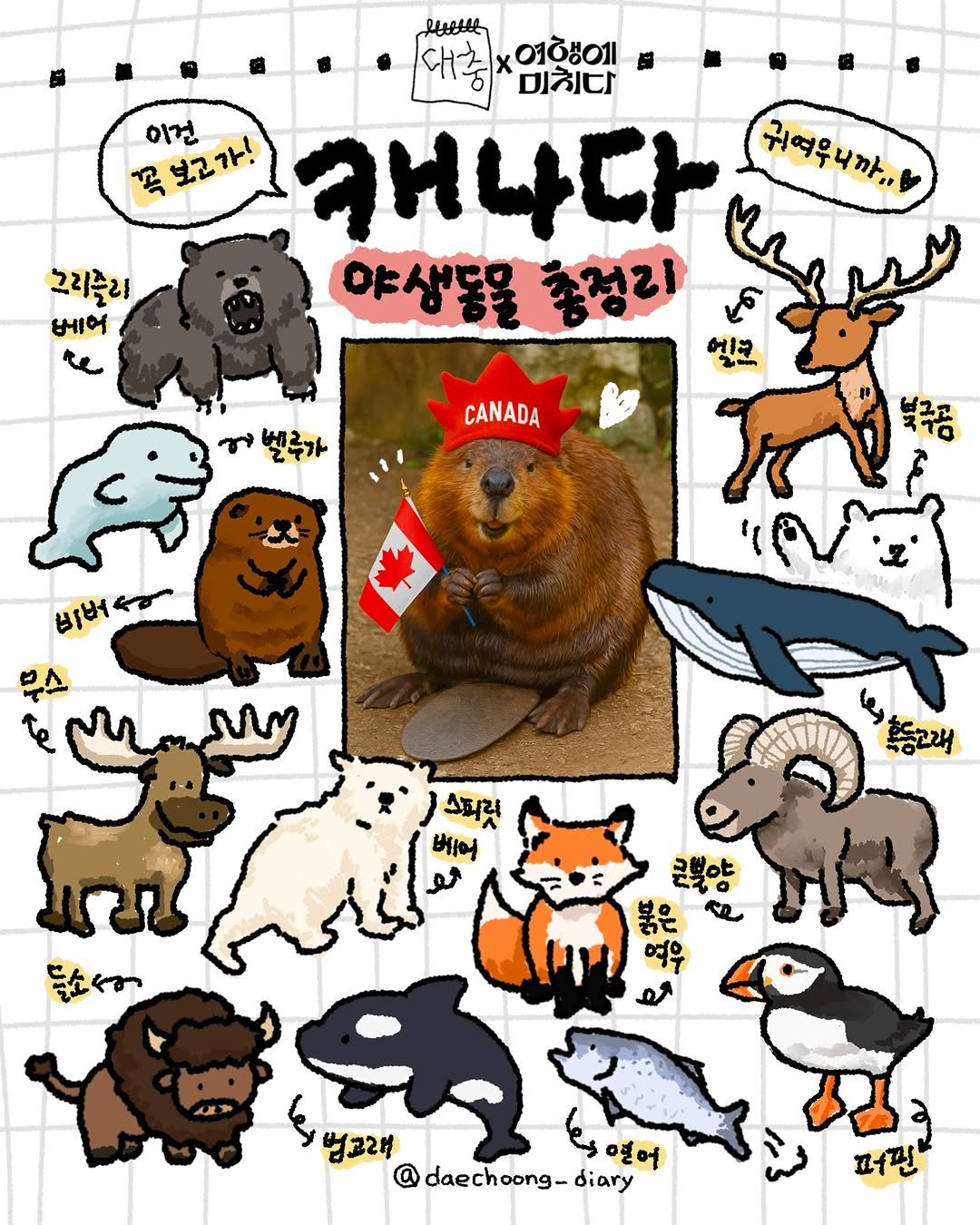 Photo shared by 여행에미치다 on April 30, 2025 tagging @daechoong_diary, and @explorecanada_kr. May be a doodle of walrus, rhinoceros, tufted puffin, otter and text that says 'የሁ 대충 010801 미친다 욕보고가! وم 보고가! 이건 캐나다 귀해우니까, 야생동물 총정리 માન 그리즐리 베어 별루가 CANADA 비버 흑승그래 숨소어 버어 스피릿 یمی ត្ទូ 加話 굿벌야 4 법고래 안명어 명어 daechoong-diary diary 퍼핀 피핀'.