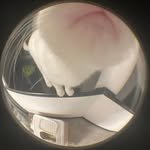 yeinisit 프로필 사진