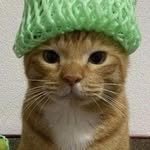 ne._.ko_ 프로필 사진