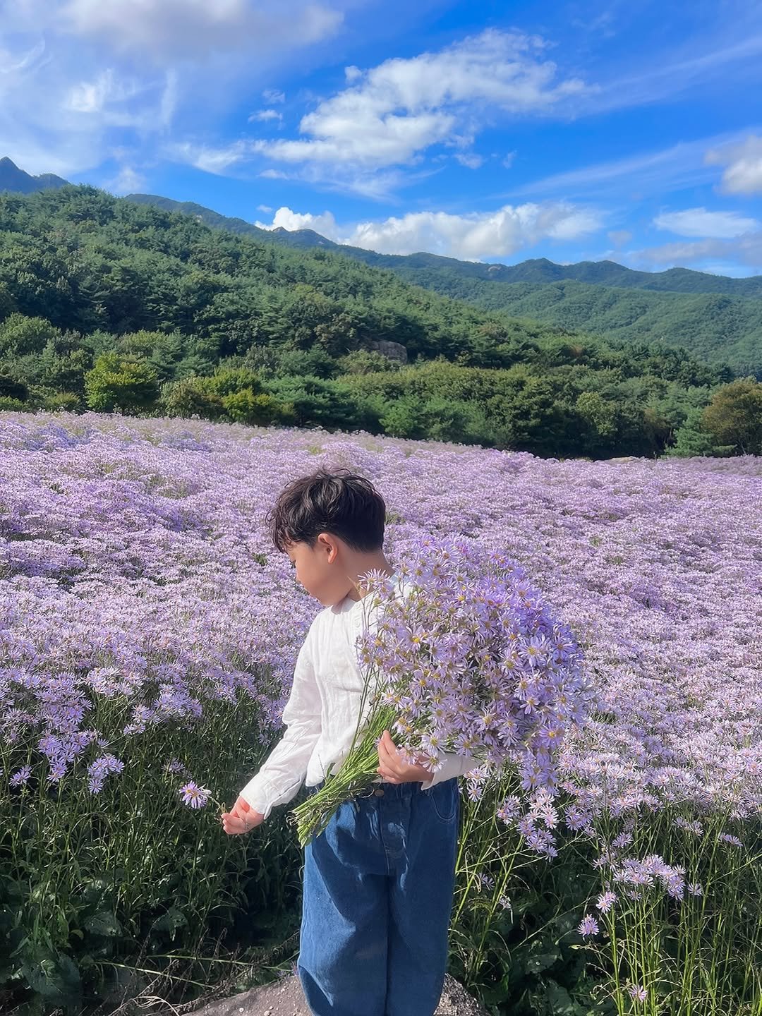 Photo by 혜연 / 우리나라 숨은 여행지 on September 23, 2025. May be an image of 1 person, scorpion grass, baby blue eyes flower and text.