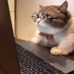 nori_journal_ 프로필 사진