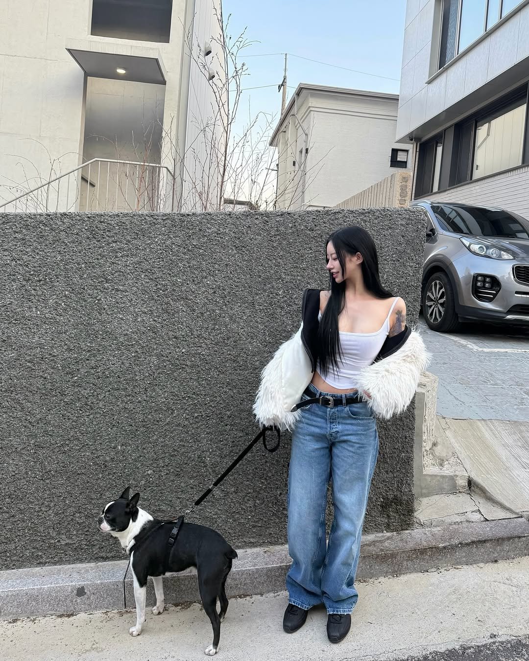 Photo by 선영 on March 21, 2026. May be an image of Boston terrier, fur and text.