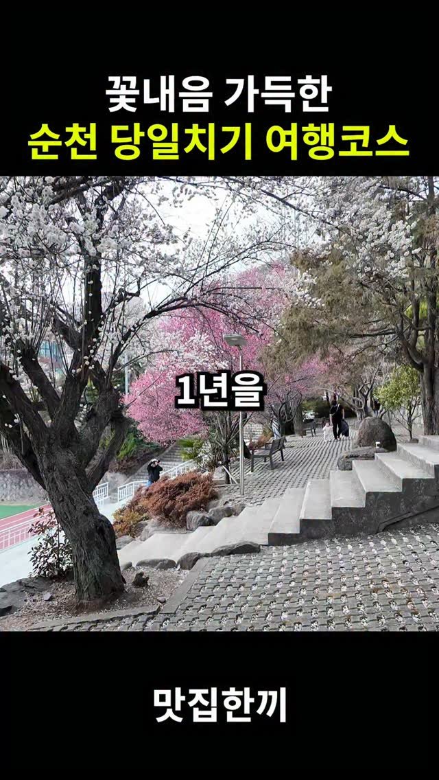 yeosuhankki 게시물 이미지: 순천 봄꽃 여행 당일치기 코스

매화꽃 가득한 걸어서 주변 맛집까지 갈수 있는...