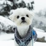 pildong_pottery 프로필 사진