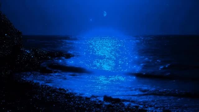 yerimiese 게시물 이미지: 💙