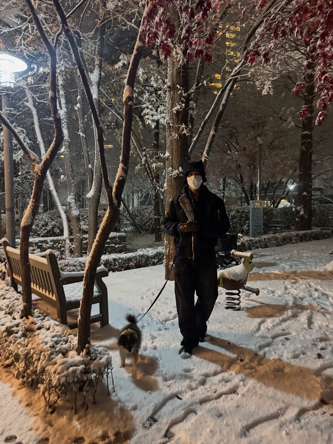 Photo shared by Yesung on December 07, 2025 tagging @yesung_smtown. May be an image of Bedlington terrier, Norwich terrier, sparrow, snow, park and text.