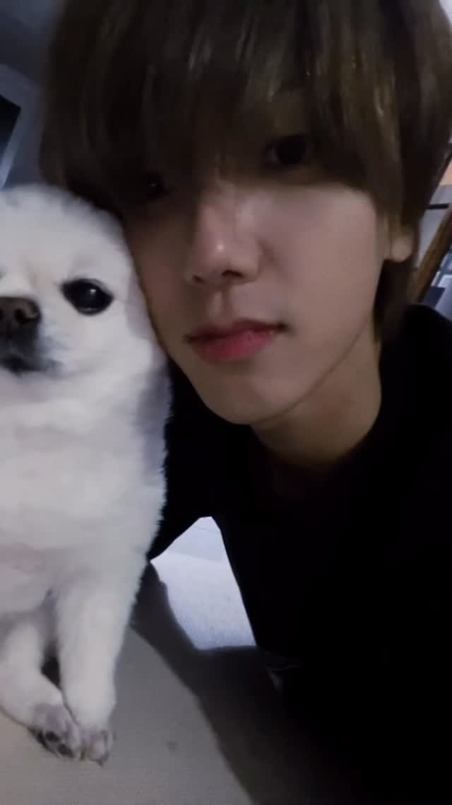 yesung_jp_official 게시물 이미지: .
いつも目覚ませば

ついて来る足音

愛おしい...