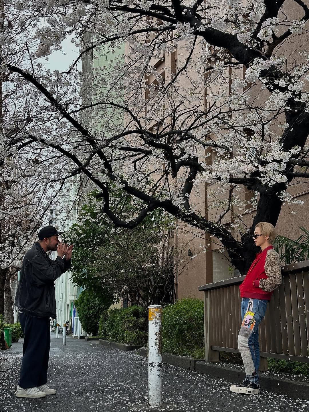 Photo shared by YESUNG_JP_OFFICIAL on September 15, 2025 tagging @yesung1106, and @yesung_smtown. May be an image of umbrella and stone-fruit tree.