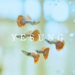yesung_jp_official 인스타그램 프로필 사진