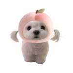 seungscience 프로필 사진