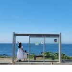 bogoomi_ 프로필 사진