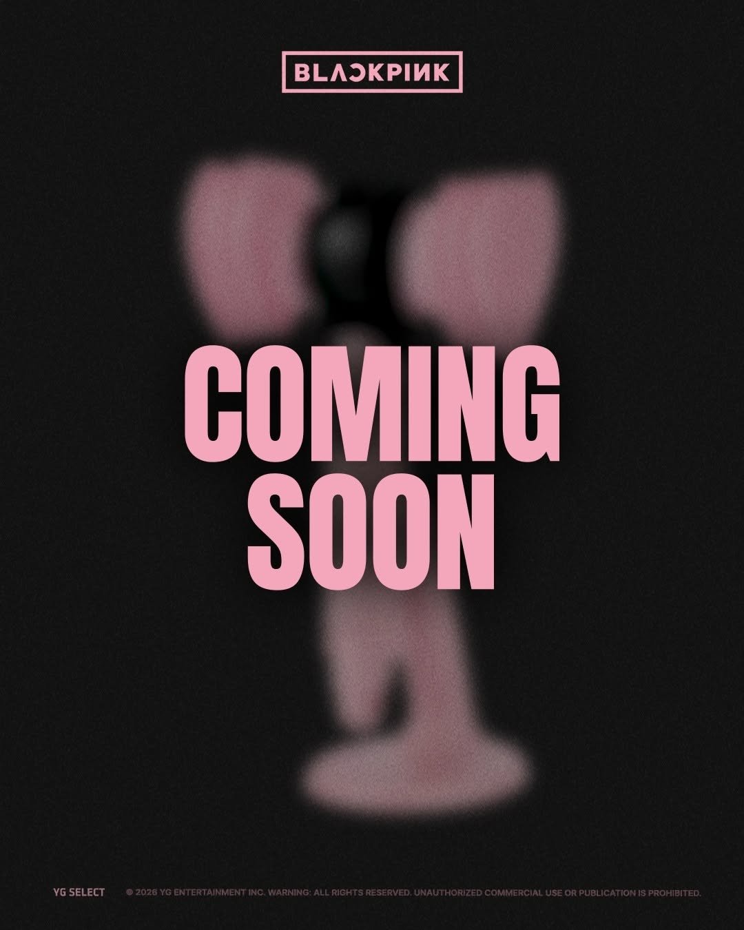 ygselect 게시물 이미지: BLACKPINK OFFICIAL LIGHT STICK CUSTOM...