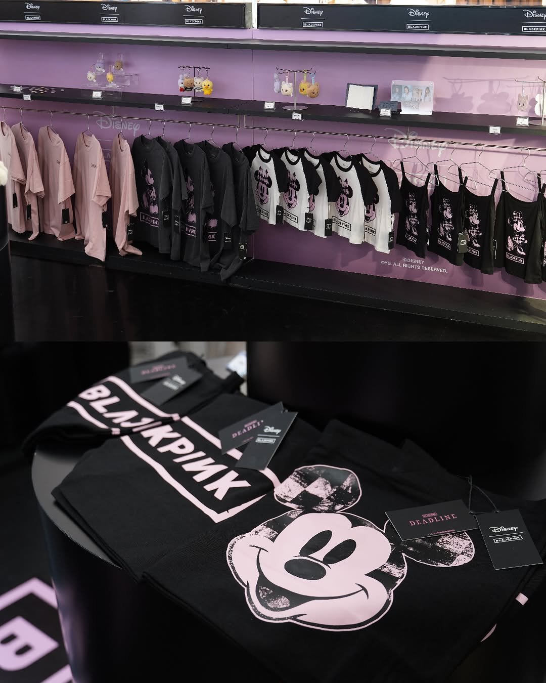 ygselect 게시물 이미지: 🏰DISNEY × BLACKPINK...
