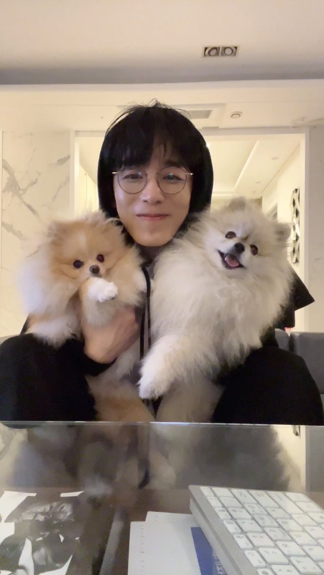 yihan_jin 게시물 이미지: 두 털뭉치들한테 공격당함😘 
루이와 크림이 #🤍 #🐾
@jihyunsohn