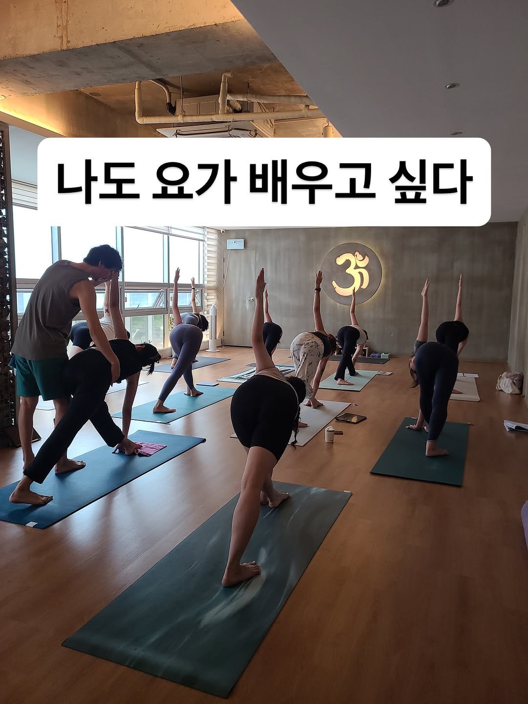 Photo by 최연재 • 아쉬탕가 안내자 | 유솜 요가지도자과정 RYT200 on September 15, 2025. May be an image of ‎7 people, people practicing yoga and ‎text that says '‎나도 요가 배우고 싶다 ॐ جمت‎'‎‎.