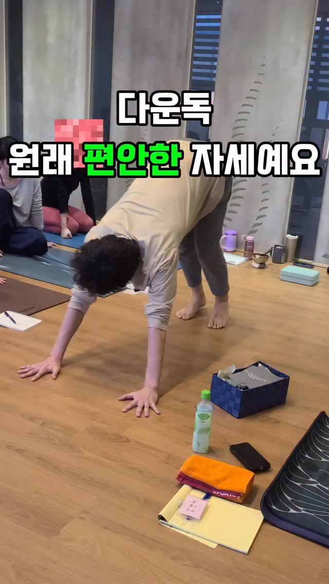 yj.ashtanga 게시물 이미지: 다운독 버티는 자세라고 생각해 오셨다면 조금 방향이 어긋났을지도 몰라요.
이 자세는...