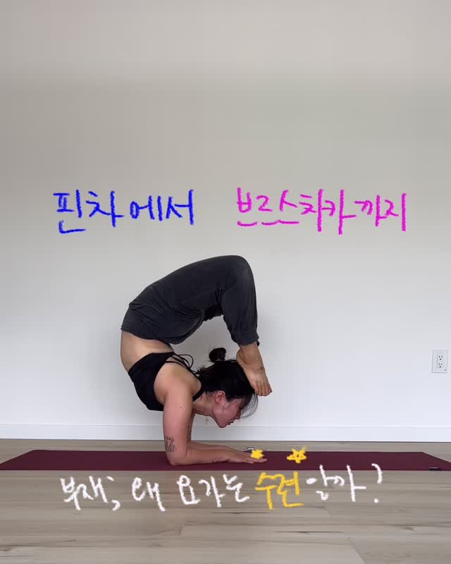 yk_yogini 게시물 이미지: #요기니_영경

간만에 #릴스 
헬스 할 때도 실패지점까지 도달해야 강해지고
요가할...