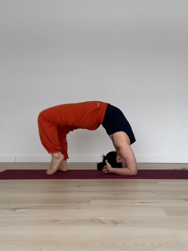 yk_yogini 게시물 이미지: #요기니_영경 

만달라 쉽지않타..🤧 과정 속에 재미를 찾고 나를 찾기