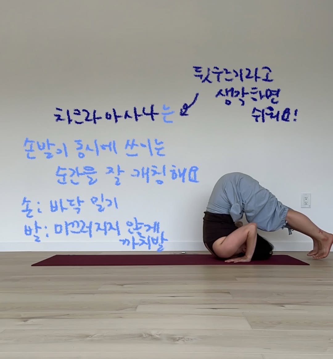 Photo by 요기니_영경 on August 01, 2025. May be an image of 1 person, practicing yoga and text that says '三うン２工 생각하면 쉬회요! 차근라 아사나는 차근라마사4는 14 손발이 동시에 쓰기는 순간을 잘 개친해요 손 바닥 일기 발: 마끄러지지 않게, 까지발'.