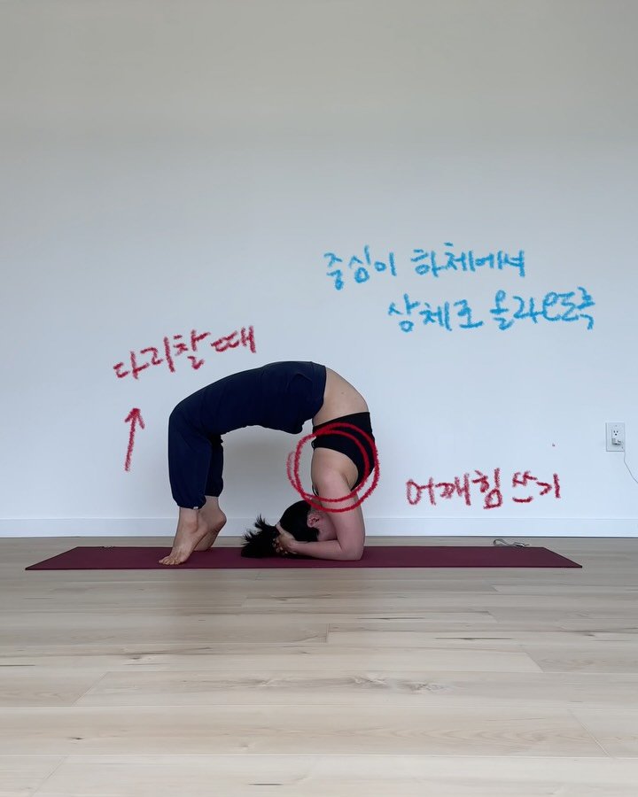 yk_yogini 게시물 이미지: #요기니_영경 

려경쌤의 나눔으로 수련🫱🏽‍🫲🏾
틱톡에서의 감각을 재건하는...