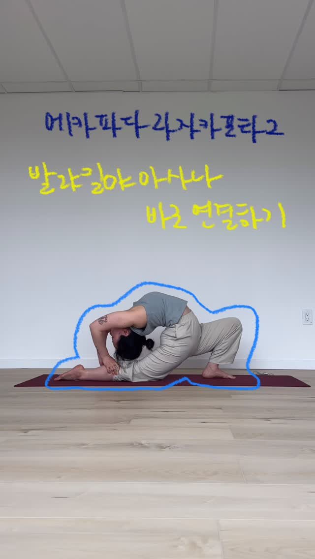 yk_yogini 게시물 이미지: #요기니_영경 

에카파다라자카포타에서 발라킬야전환하기
자주 하진 않지만, 가끔씩...