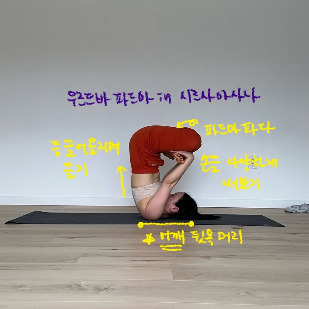 yk_yogini 게시물 이미지: #요기니_영경

이번 캐나다 여름은 쫌 늦네..
조금 빨리 와주시겠어요..?👀