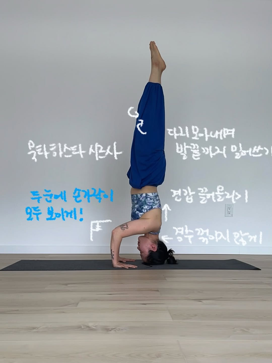 yk_yogini 게시물 이미지: #요기니_영경

머리서기 종류들..
캐나다 날씨 좋아서 요태기 온 사람 🤷‍♀️
변명을 대어본다