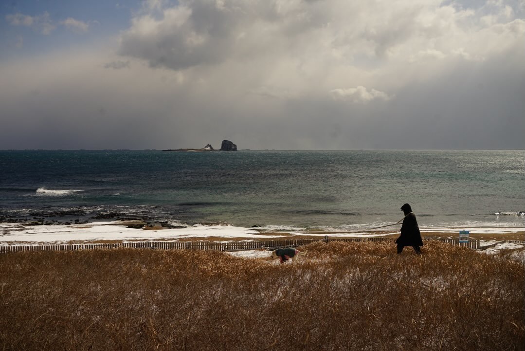 Photo by 김민철 on February 08, 2026. May be an image of nature, coast and text.