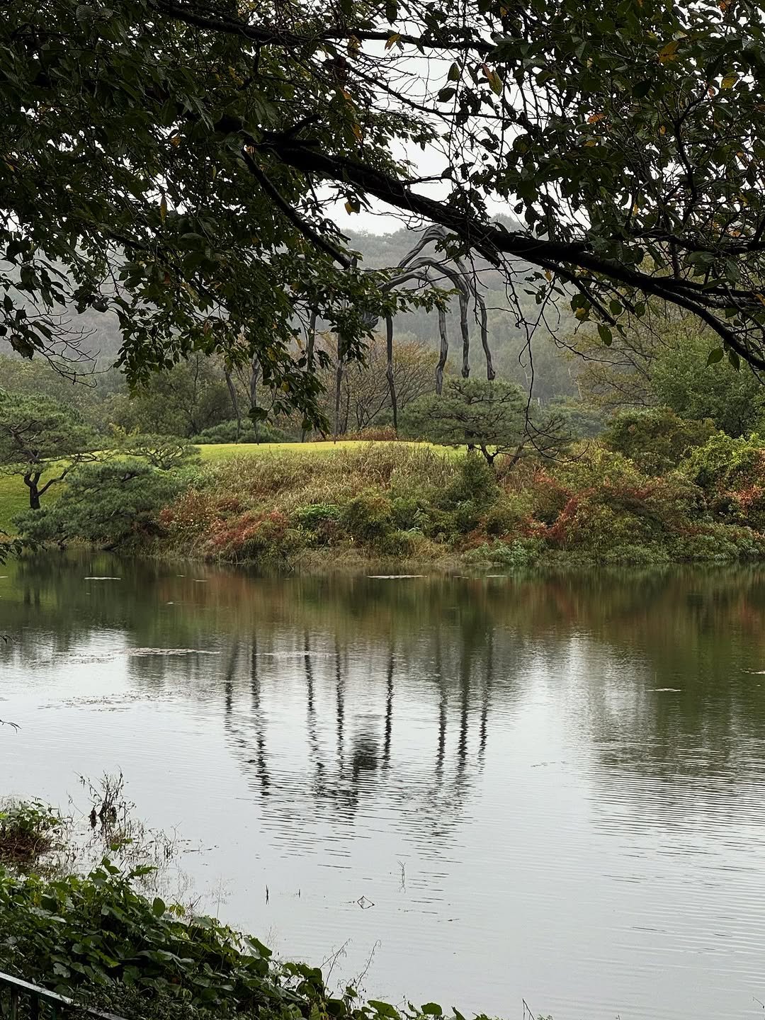 Photo by 김민철 on October 09, 2025. May be an image of lake, fog and text.