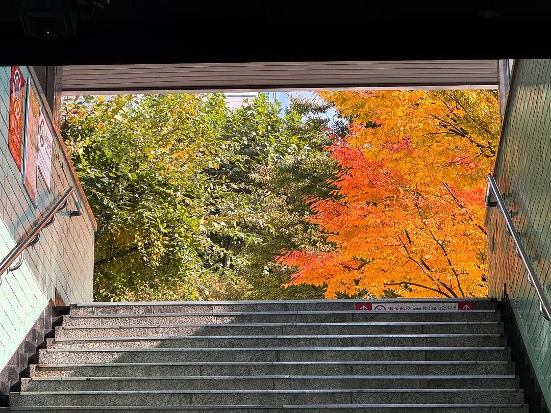 Photo by 김민철 on November 06, 2025. May be an image of text.